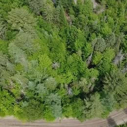 terrain a Rawdon | 2980234