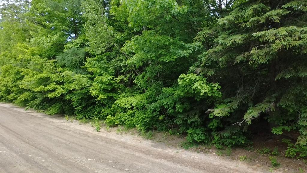 terrain a Rawdon | 2980234