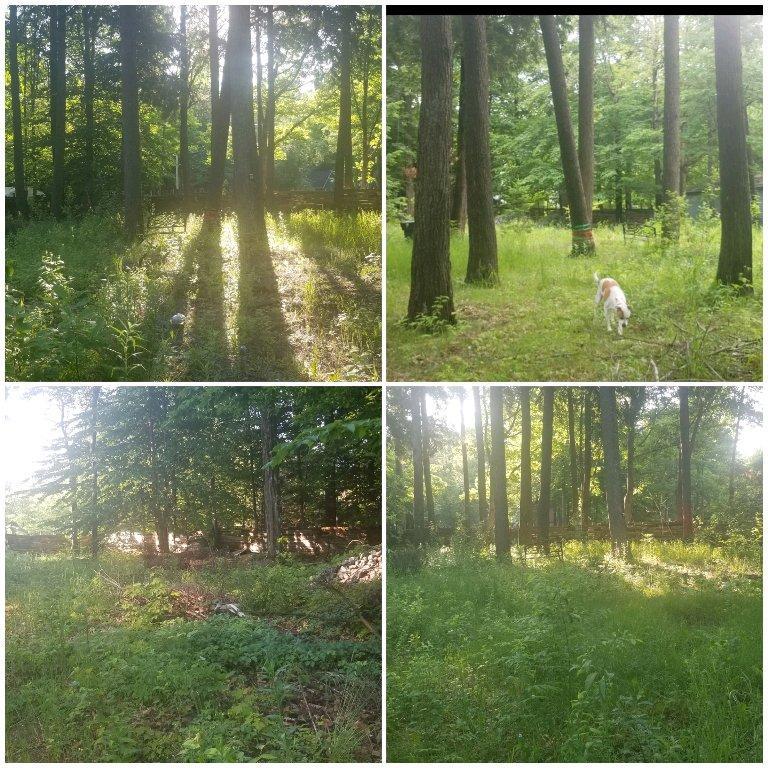terrain à vendre | 2980235