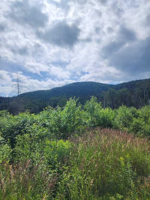 Lot forestier 55 ha Les éboulements | 2959441