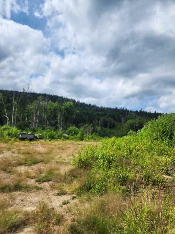 Lot forestier 55 ha Les éboulements | 2959441