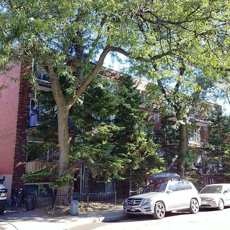 Spacious 3 ½ Apartment for Rent – Rosemont | 2960122