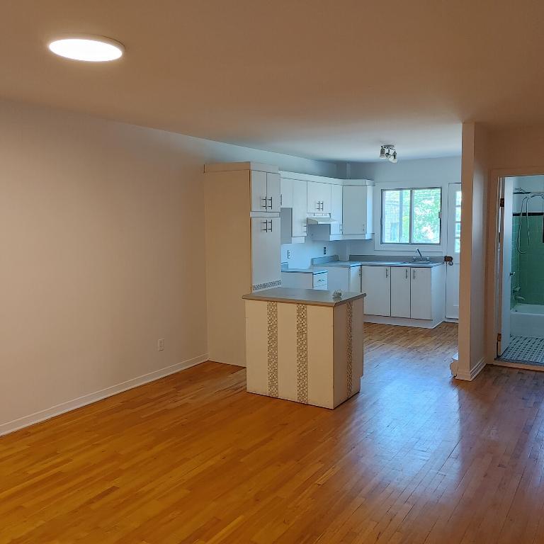 Grand appartement 3 ½ à louer – Rosemont | 2960133