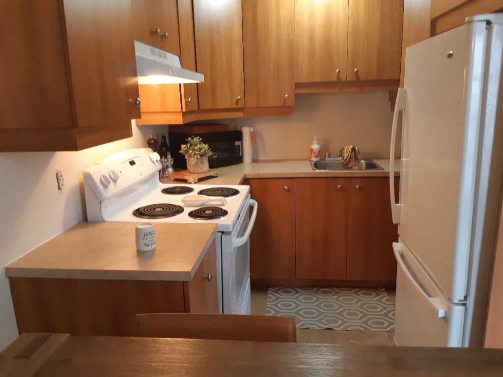 3 1/2 a louer Tranquille dans un triplex Cour Privé Table et BBQ Grande pièces ensoleiller, logement avec climatiseur mural. | 2960136