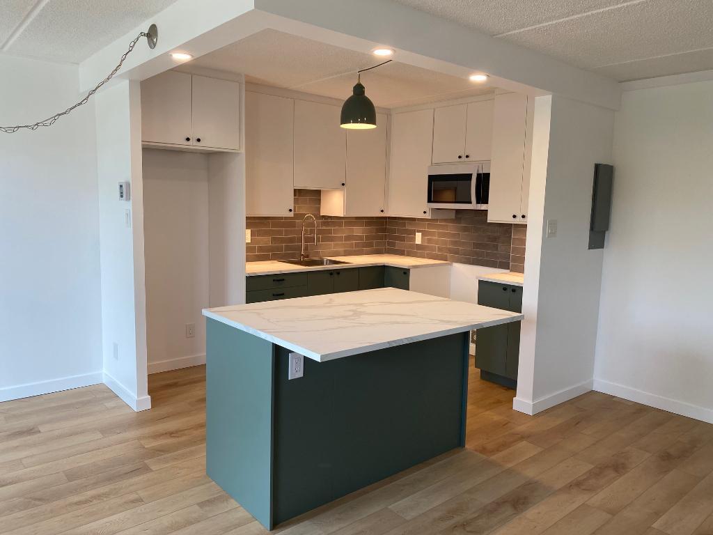 4 1/2 à Vaudreuil rénové | 2960566