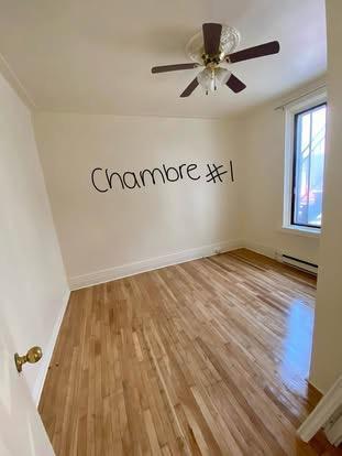 Appartement 2chambres + bureau | 2960876