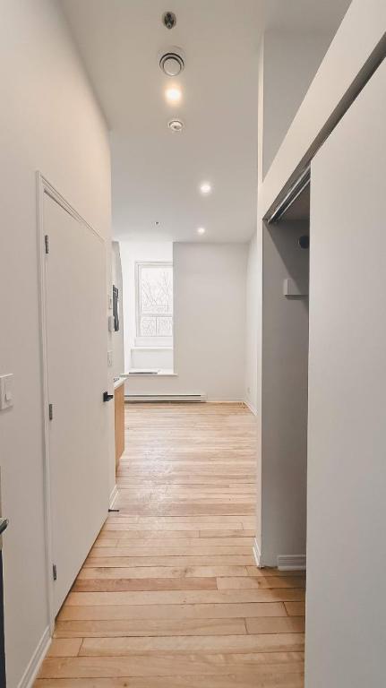 1 CH - 1 SDB - Montréal - $1,195 /mo | 2961814