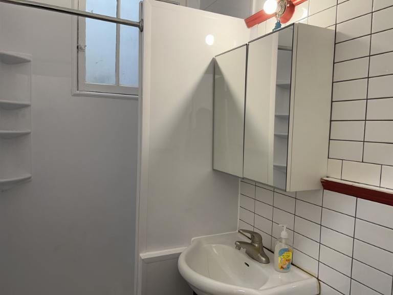4 1/2 - Montréal (Hochelaga / Maisonneuve) - 1 350 $/mois | 2961823