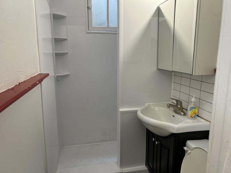4 1/2 - Montréal (Hochelaga / Maisonneuve) - 1 350 $/mois | 2961823
