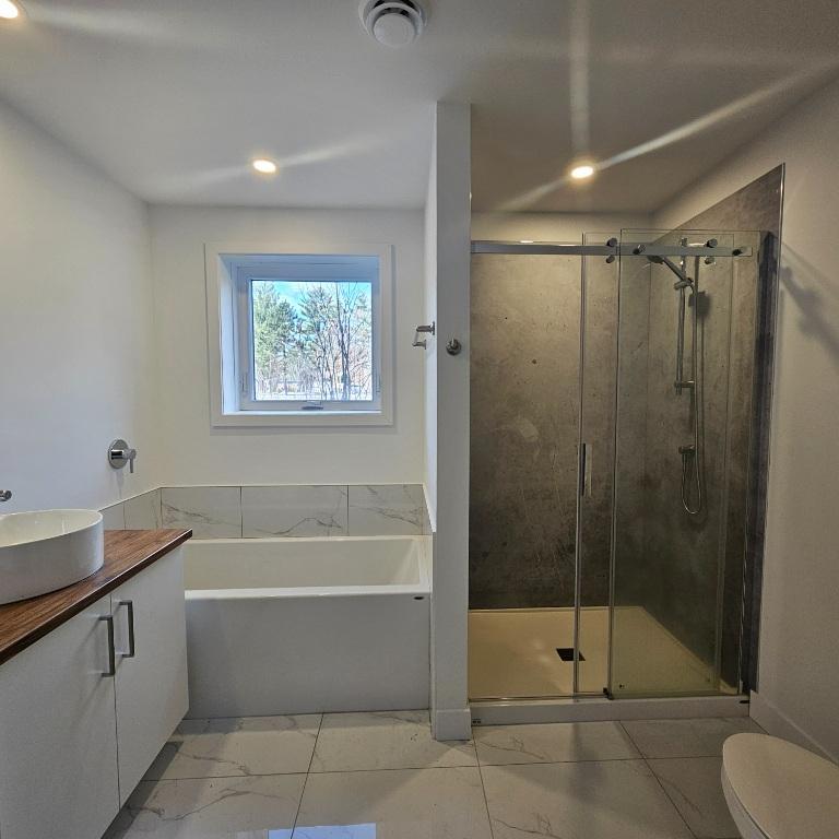 4 1/2 avec GARAGE et stationnement inclus - Saint-Ambroise-de-Kildare | 2983453