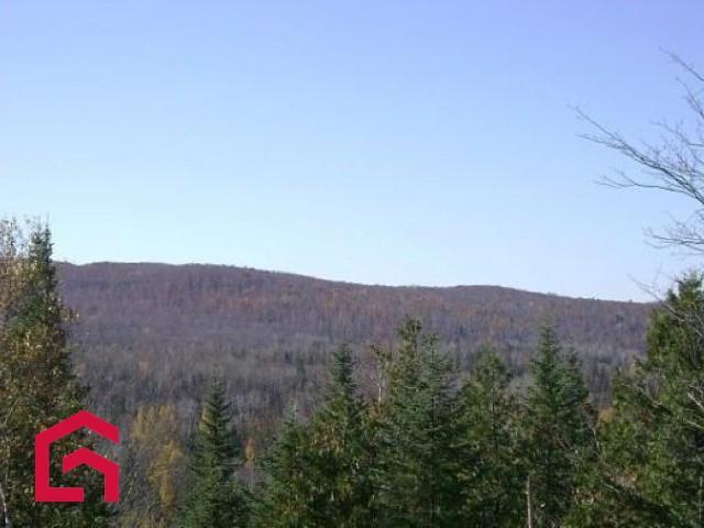 Terrain | 2962724