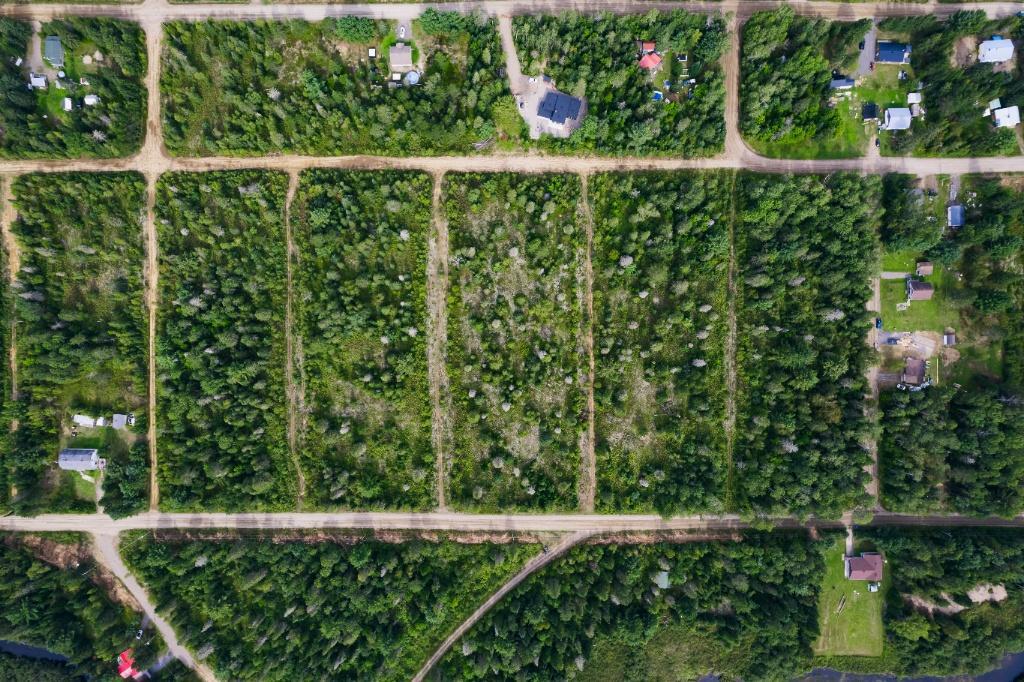 Pêcheurs, Saint-Alexis-des-Monts -- TERRAIN À VENDRE | 2962889