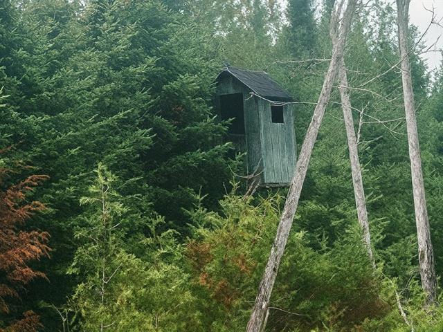 Milan (Estrie) : Terre pour la chasse | 2964372