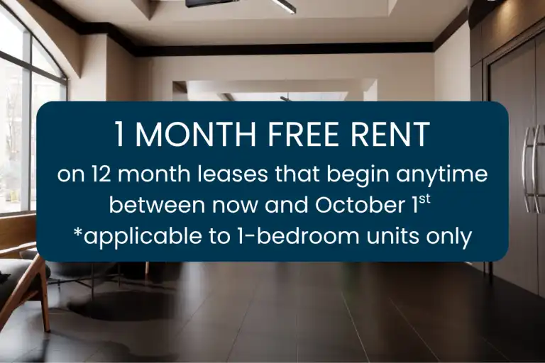 435 Albert St. - Domaine 435 | 435 Albert St., Ottawa | 2963418