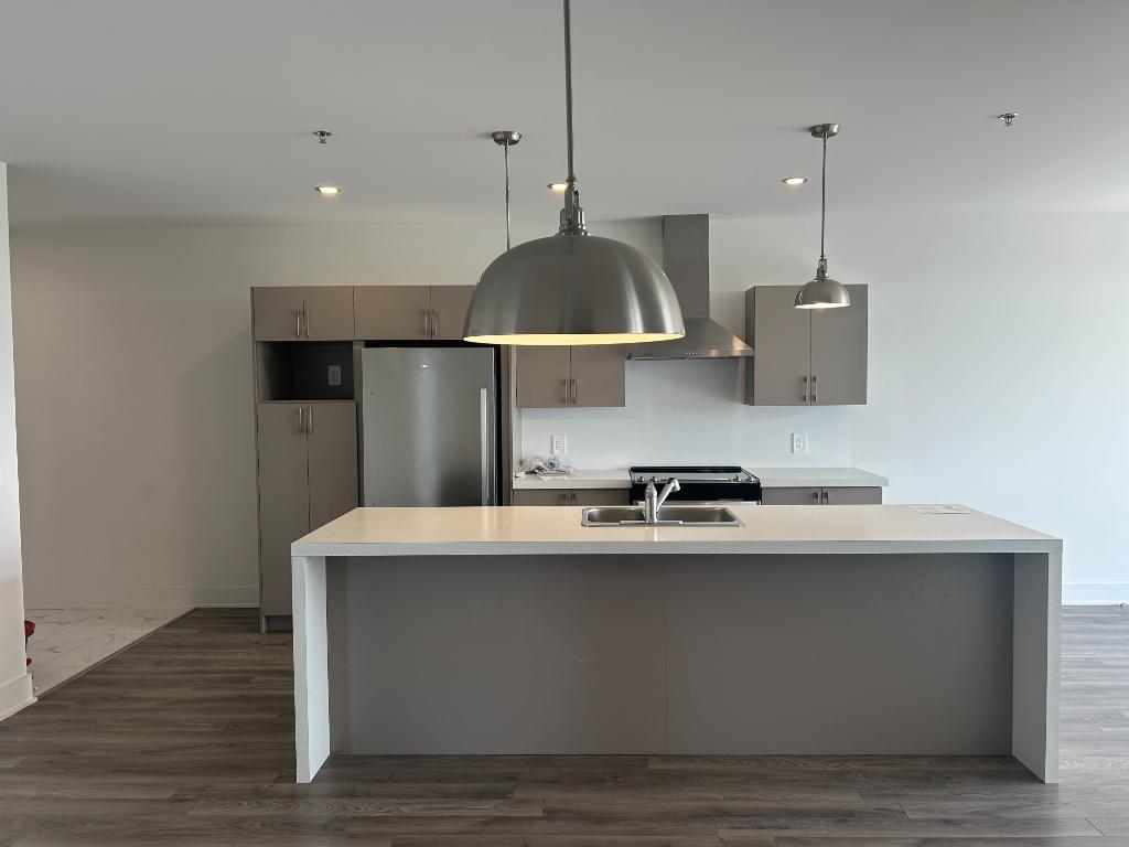 **CASH 1200$$** OU ÉTALÉE SUR VOS VERSEMENTS, GRAND 4 1/2 ÈA LOUER LIBRE IMMÉDIATEMENT INCLUS 5 ÉLECTRO | 2964080