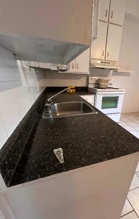 Appartement 2 à 3 Chambres au Rez-de-Chaussée à Louer – Jean Talon - La Petite-Patrie | 2964715