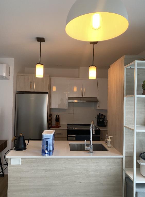 ✨ 3 ½ NEUF – Hochelaga – Animaux acceptés – 5 électros, wifi inclus – 1560$ | 2965556