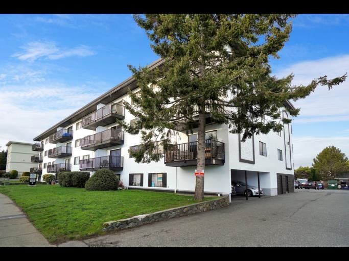 Blue Cedar Apartments | 820 Craigflower Road, Victoria | 2966903
