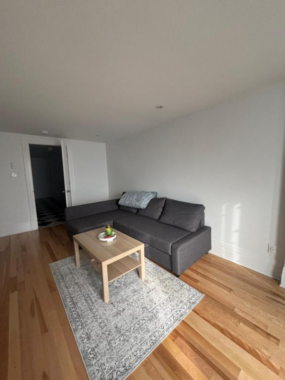 Fully renovated 5 1/2 rénové à coté du HEC/ UdeM/ Poly | 2965898