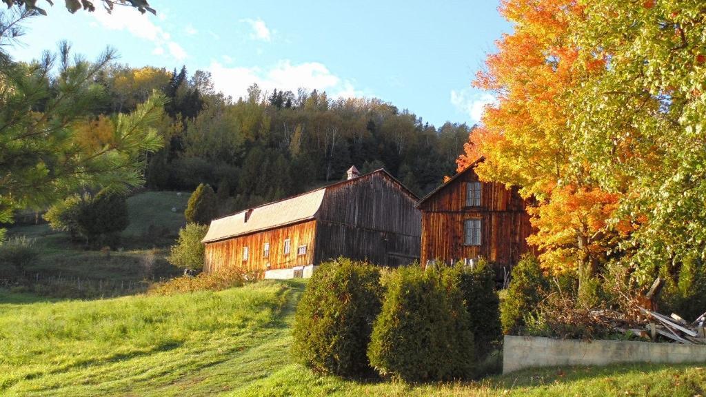 La Brise du Temps - Maison du Patrimoine (vue fleuve) CITQ 229040 | 2965910