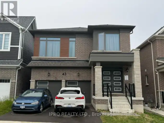 43 WILLIAM NADOR STREET | 43 WILLIAM NADOR STREET, Kitchener | 2974447