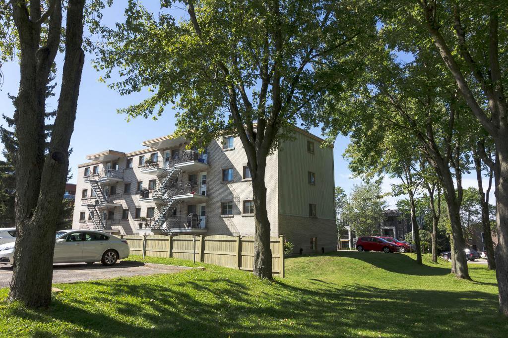 6½ (4 ch) Ste-Foy - UNIVERSITÉ \CEGEP libre | 3186701