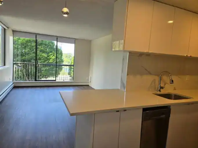 Beautiful and spacious renovated 1 bed | 1133 Beach Avenue, Vancouver | 2966925