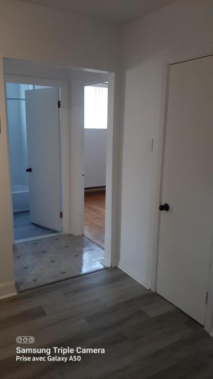 Libre imm Grand 4½ Rénové demi-sous sol 3plex @ Vieux Longueuil | 2968240