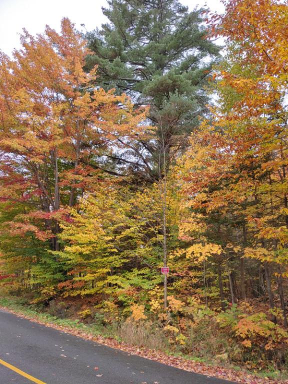 Terrain à vendre | 2968604