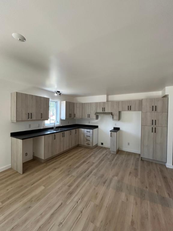 4 1/2 Rez-de-Chaussée/Nicolet/Rénové à neuf! | 2974985