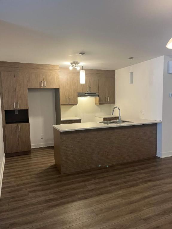 4 1/2 À LOUER-SAINT-CHARLES-BORROMÉE-APPARTEMENT À LOUER | 2974993
