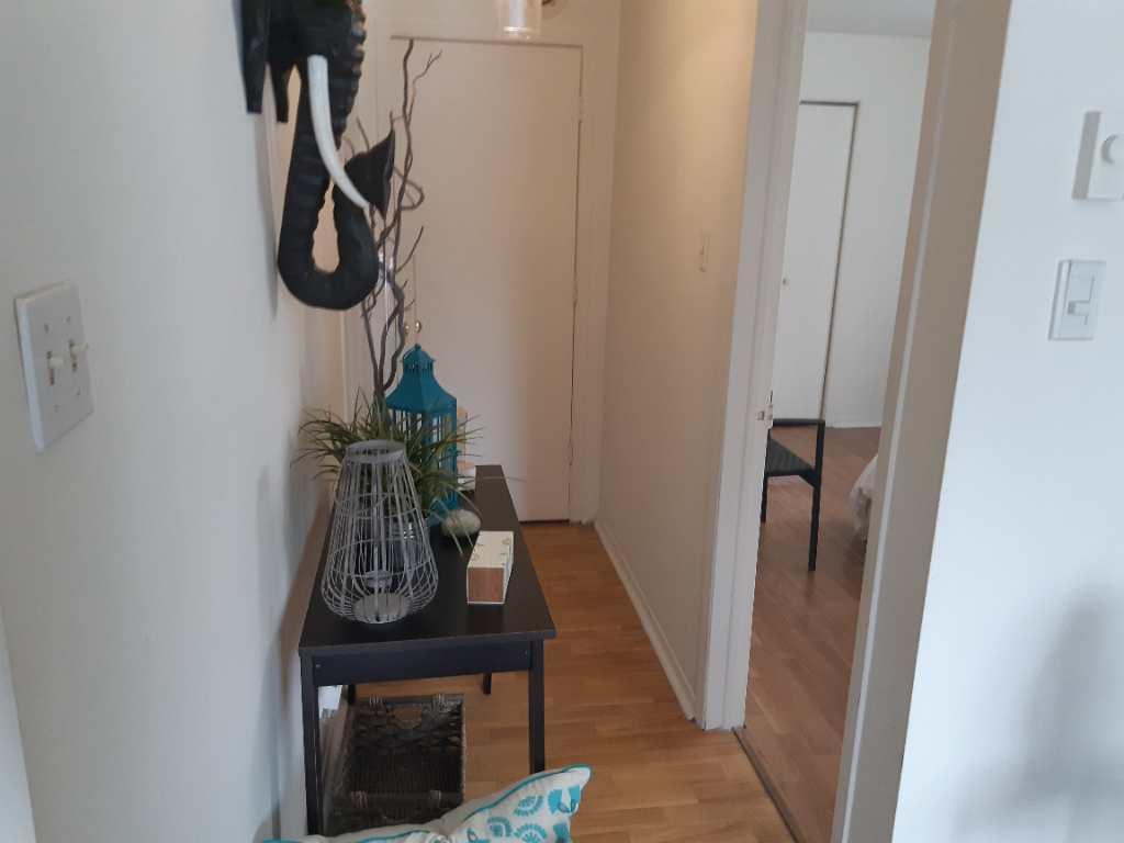 grand 3 1/2 Longueuil, disponible maintenant! | 2974996
