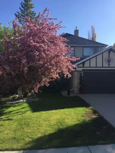 Stunning fully finished basement suite in beautiful Discovery Ridge | 60 Discovery Ridge Court SW, Calgary | 2975655
