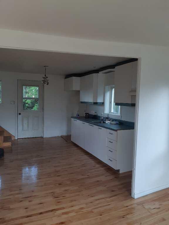 Appartement 4 et demi | 2976902