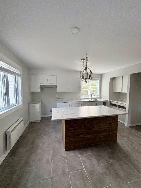 3 ½ à louer – entièrement rénové – Saint-David | 2976909
