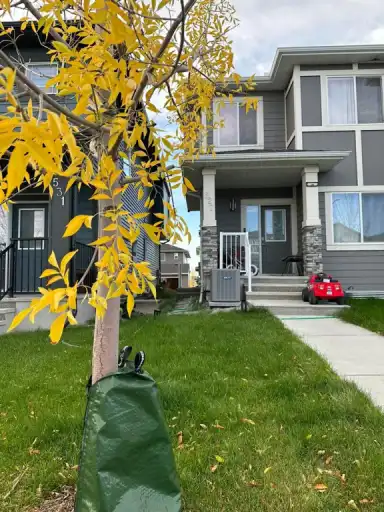 4 Bed 3 Bath Main floor in a Duplex | 527 Cornerstone Avenue, Calgary | 2977233