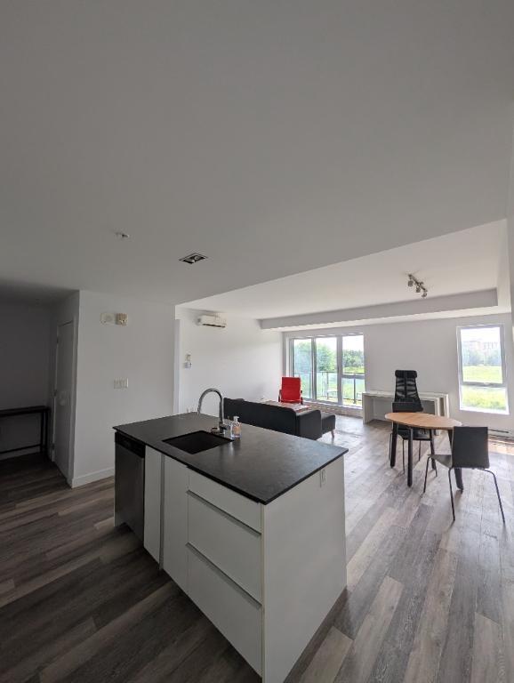 CESSION DE BAIL 3 et 1/2 QUARTIER QB - 1er sept (ou avant!) 1450$ | 3038944