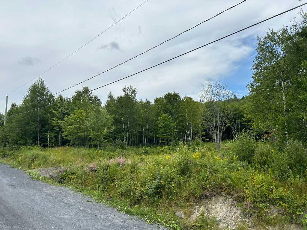 Terrain de 266 000 pi2 à vendre secteur Cumberland Saint-Benjamin | 2977560