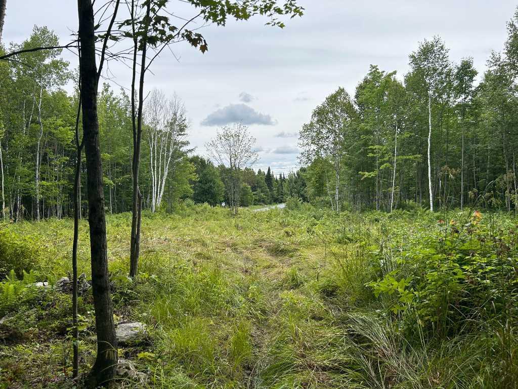 Terrain de 266 000 pi2 à vendre secteur Cumberland Saint-Benjamin | 2977560