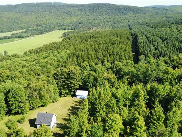 St-Sylvestre (Chaudière-Appalaches) : Terre à bois de 97,24 acres | 2977570