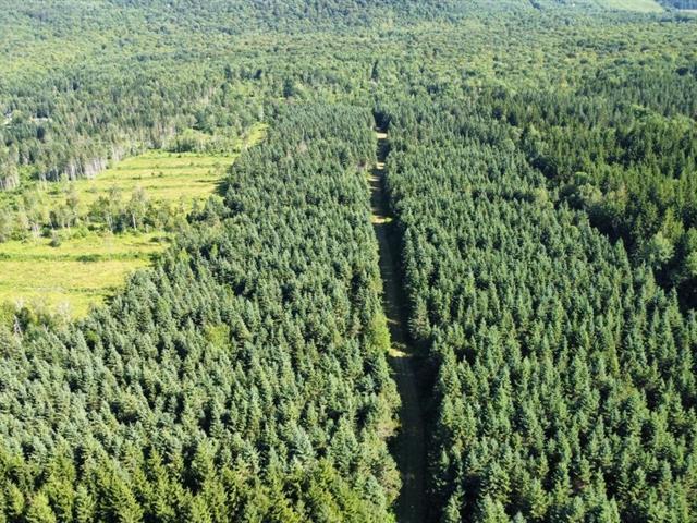 St-Sylvestre (Chaudière-Appalaches) : Terre à bois de 97,24 acres | 2977570
