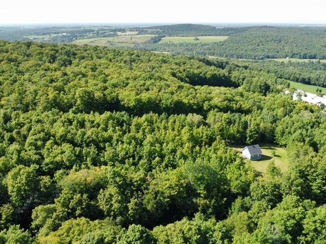St-Sylvestre (Chaudière-Appalaches) : Terre à bois de 97,24 acres | 2977570