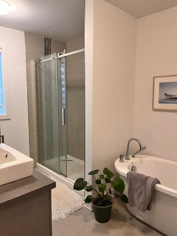 Grand 4½, Otterburn Park, Garage, 1 novembre 2025 | 2979569