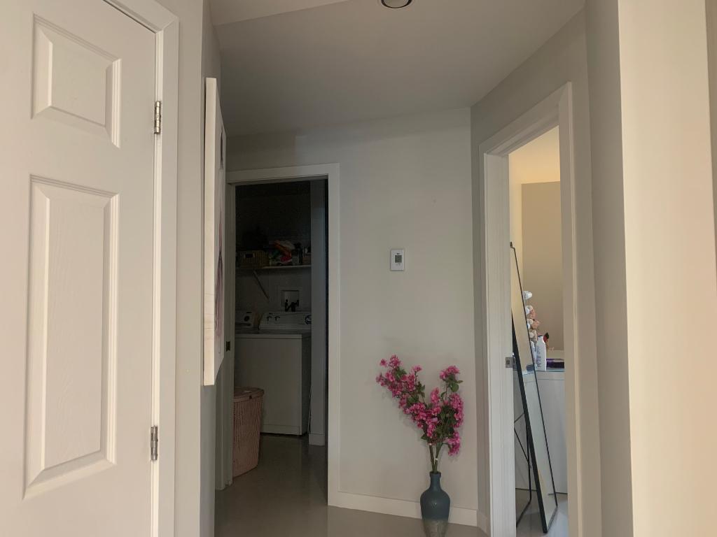 Rénové, grand et lumineux 3 1/2 Lasalle | 2980781