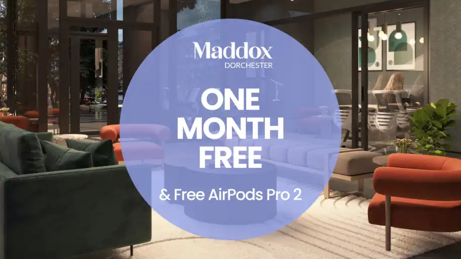 Maddox Dorchester | 1160 Saint-Mathieu, Montreal | 2980812