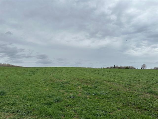 Terrain | 2999619