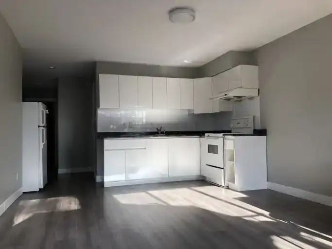 Burnaby 2 Bed 1 Bath Basement Suite for Rent, near SFU | 7210 Frances Street, Burnaby | 2982929