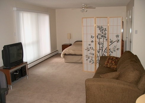 Bachelor suite, 7 min walk to MacEwan University | 10335 117 Street Northwest, Edmonton | 2983005