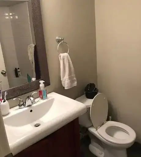 1 bedroom basement apartment. | 40 Karen Crt., Orangeville | 2983197