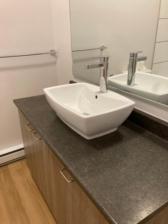 4 1/2 rénové à louer (cession de bail) Quartier Montcalm | 3073484
